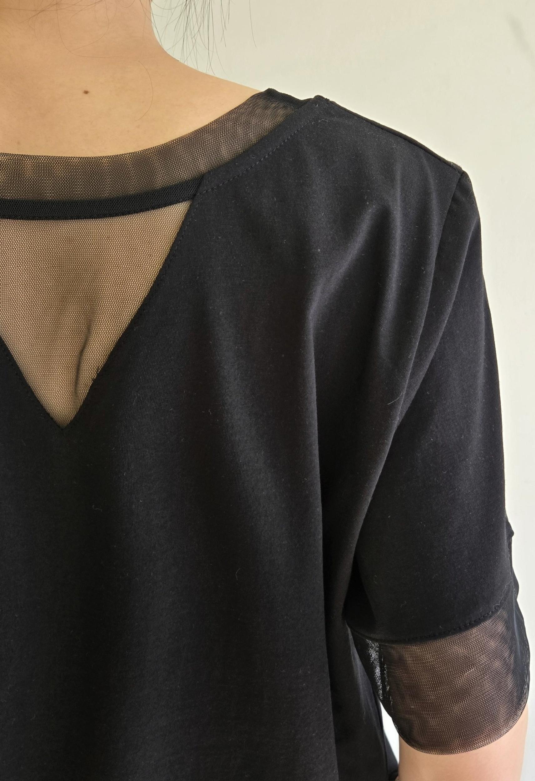 Desi Top Product Image