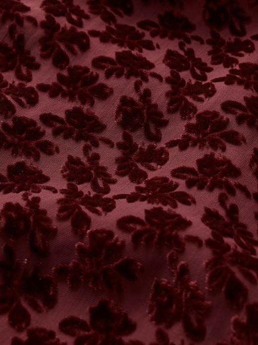 Velvet Floral Mini Dress Product Image