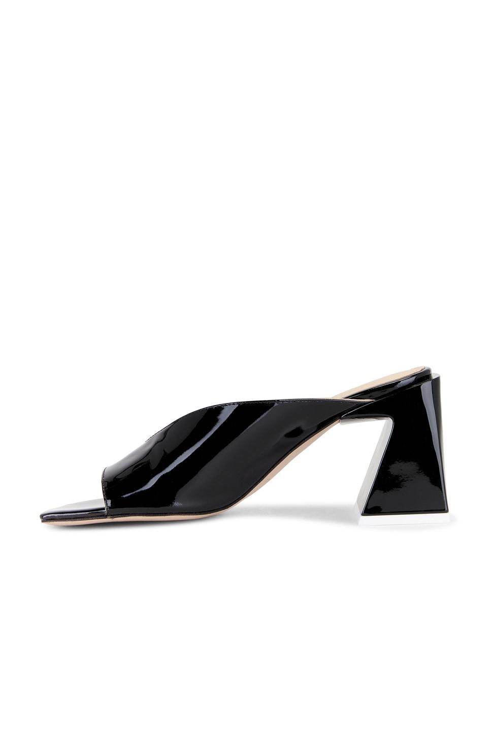 Tasha Leather Sandals ALOHAS Product Image