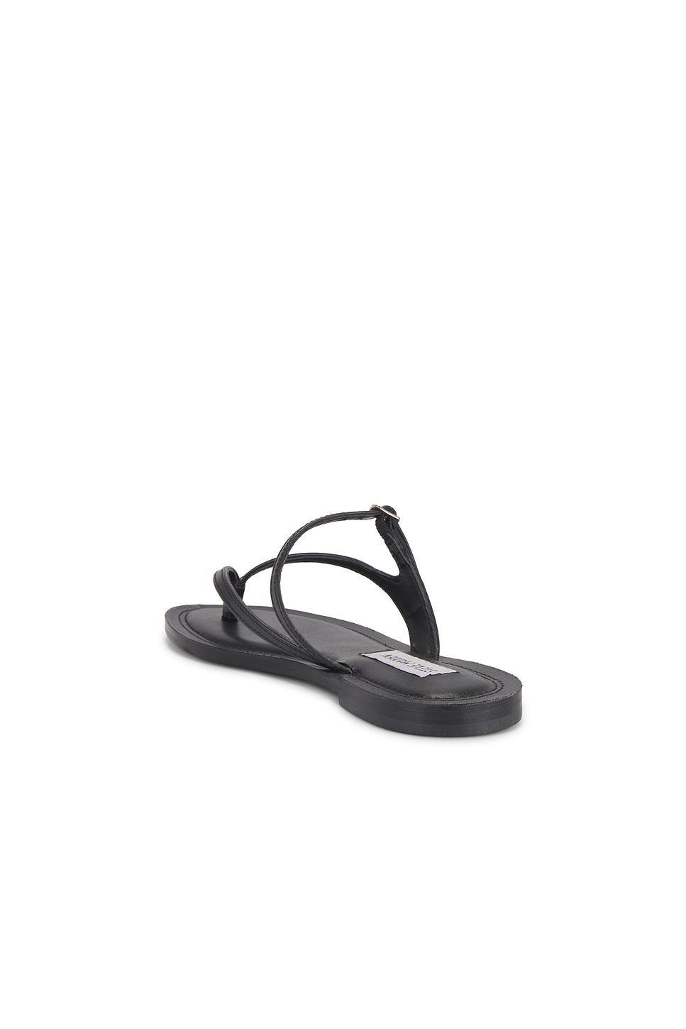 Roca Sandal Steve Madden Product Image