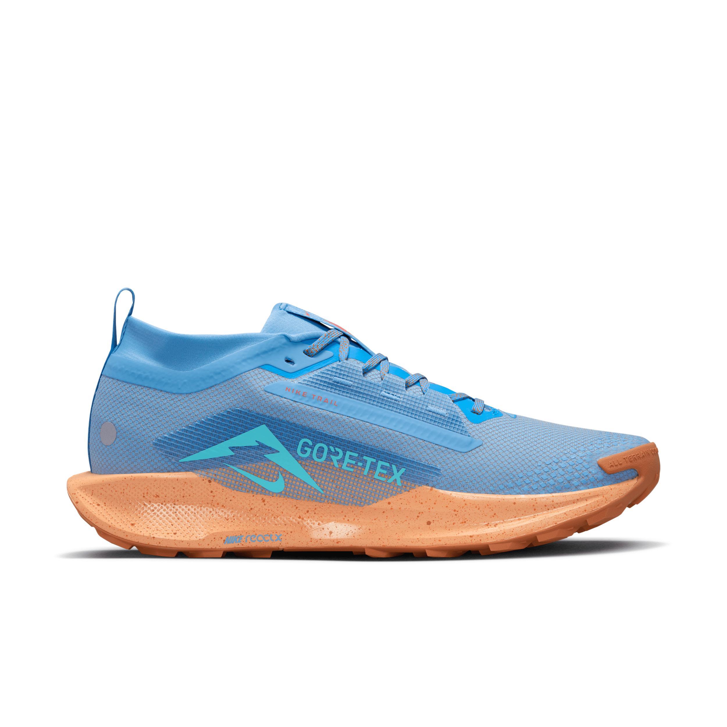 Nike Men's Pegasus Trail 5 GORE-TEX Waterproof Trail Running Shoes Product Image