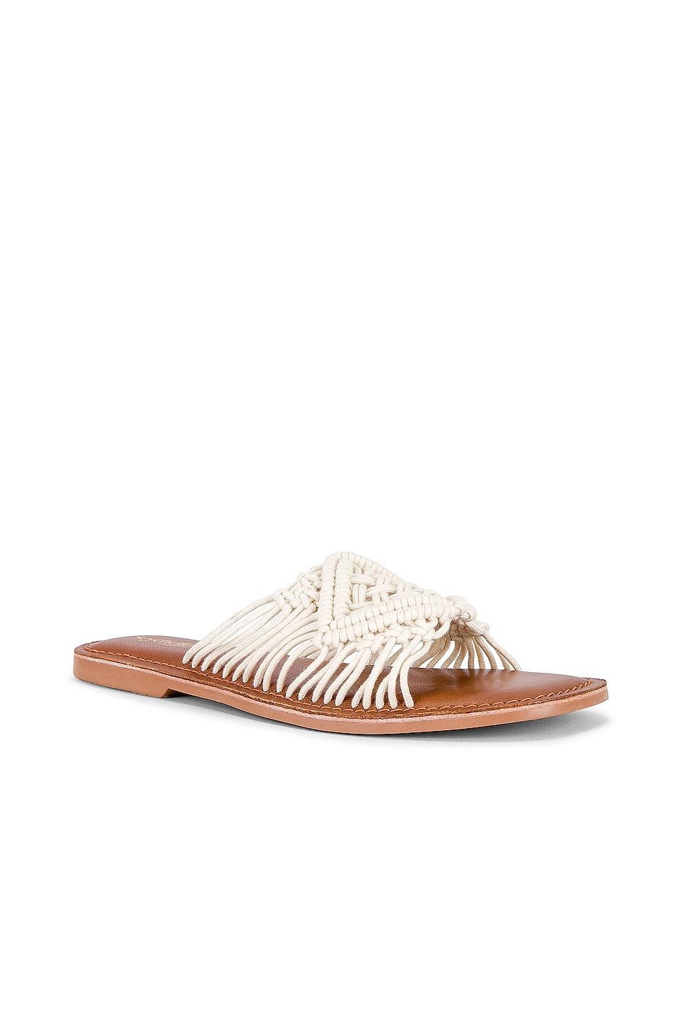 Mahogany Sandal Seychelles Product Image
