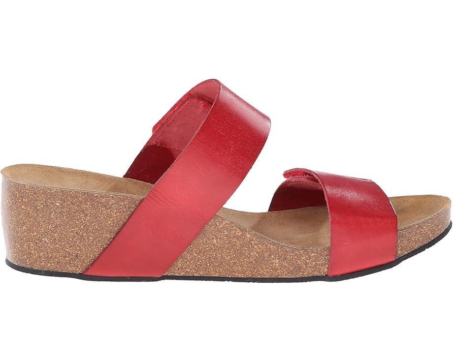 Lily 2 Product Image