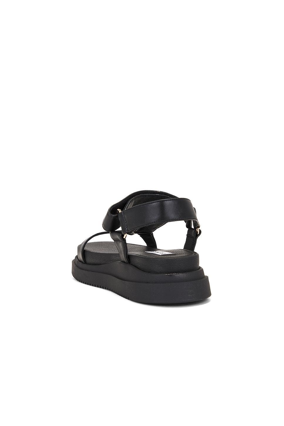 Matina Sandal Steve Madden Product Image