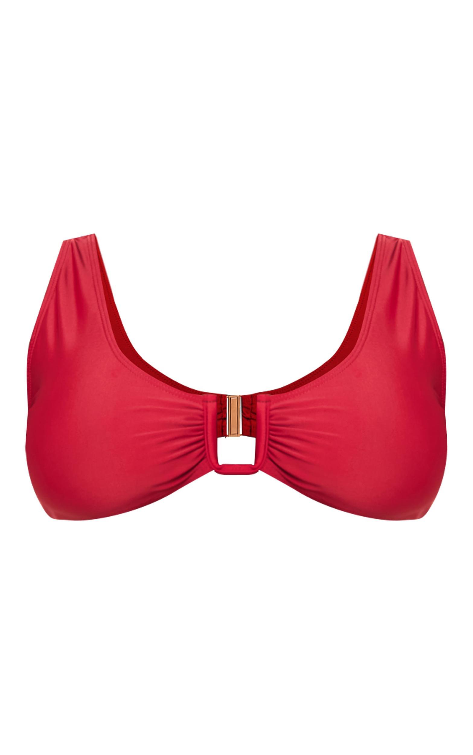 Plus Burgundy Plunge U Bar Bikini Top Product Image