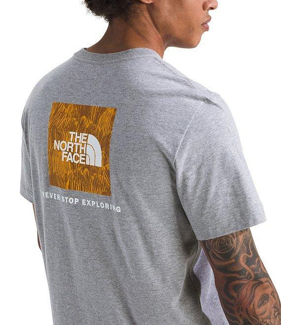 The North Face Evolution Regenerative Ink Box NSE Heathered Short Sleeve T-Shirt Product Image