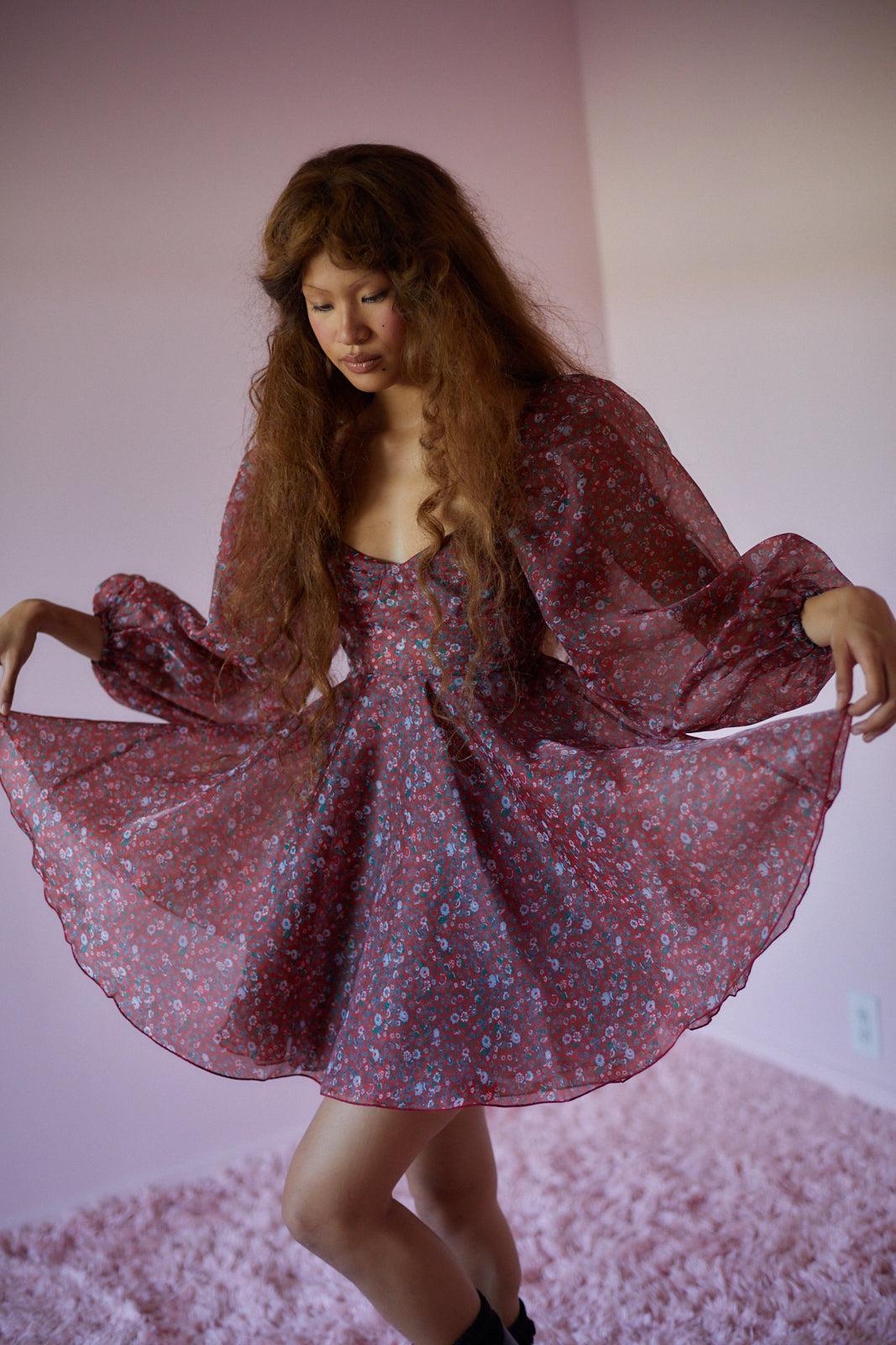 The Crimson Princess Dress Product Image