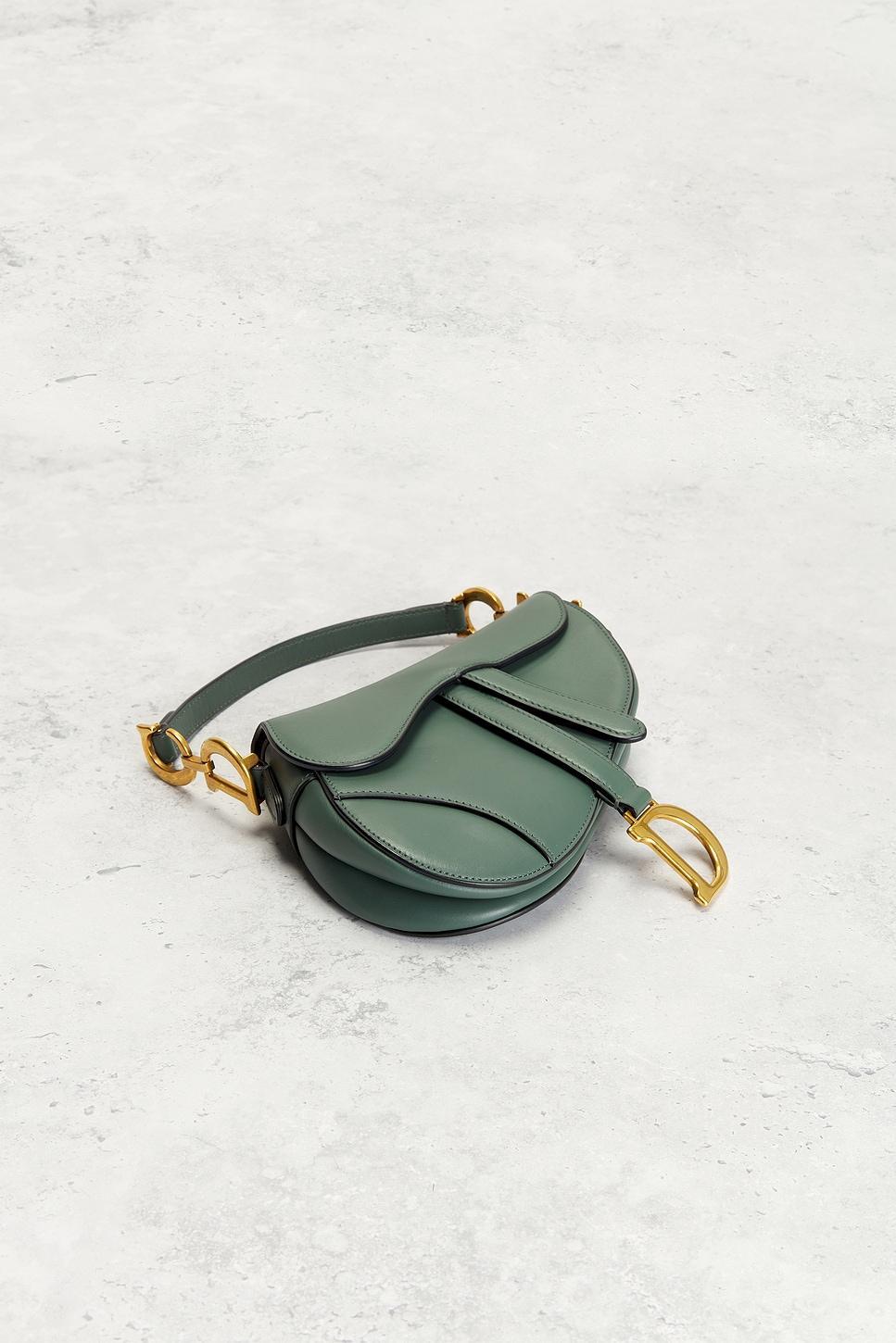 Dior Saddle Bag FWRD Renew Product Image