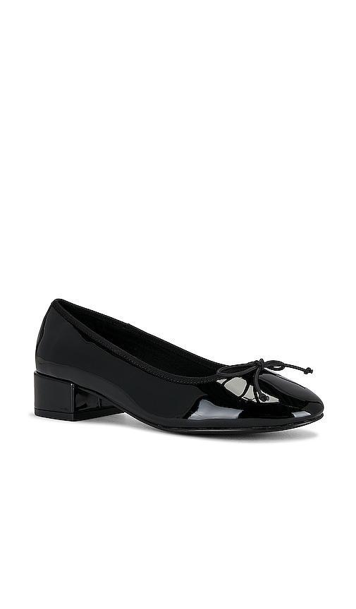 Cherish Flat Steve Madden Product Image
