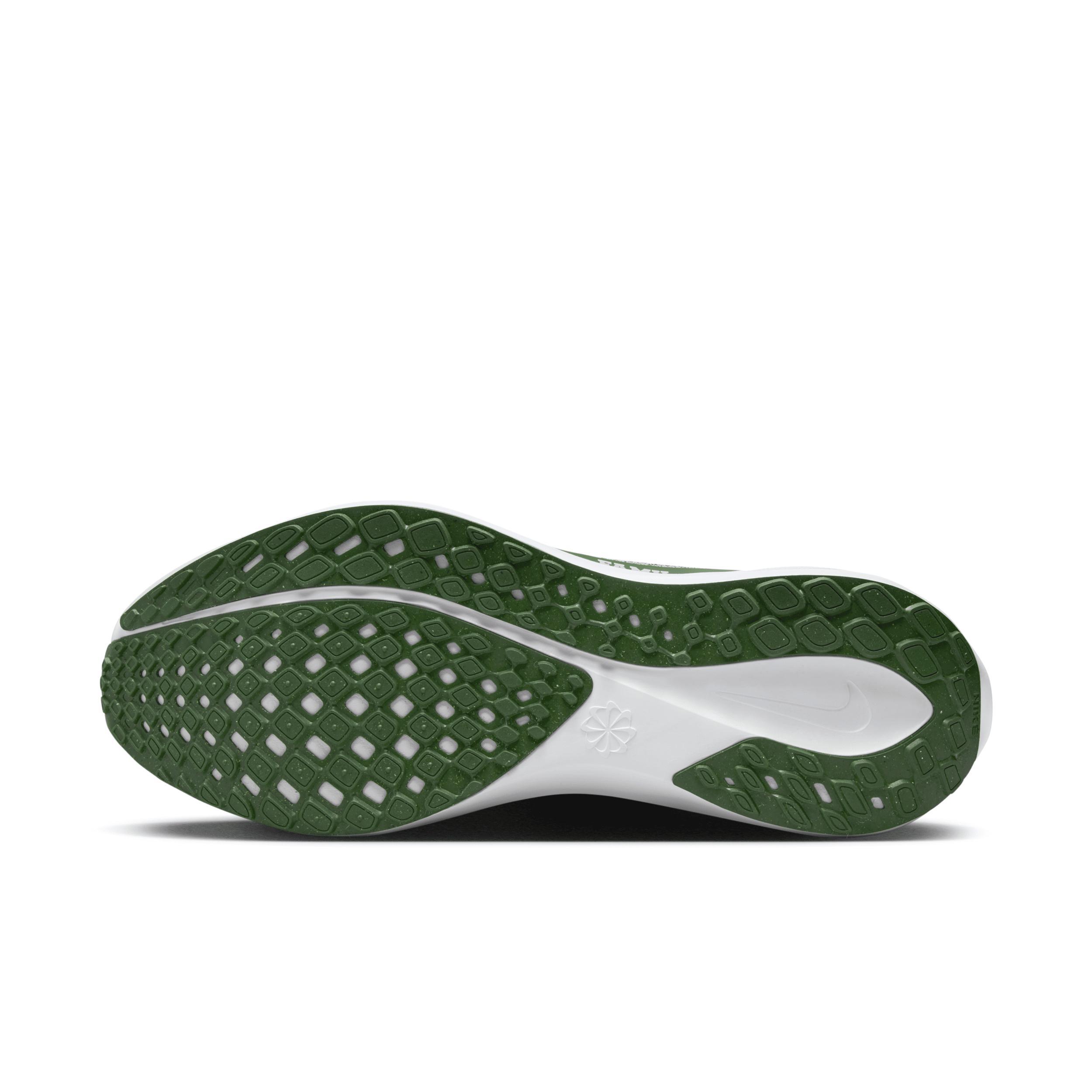 FAMU Pegasus 41 Nike Men's College Road Running Shoes Product Image