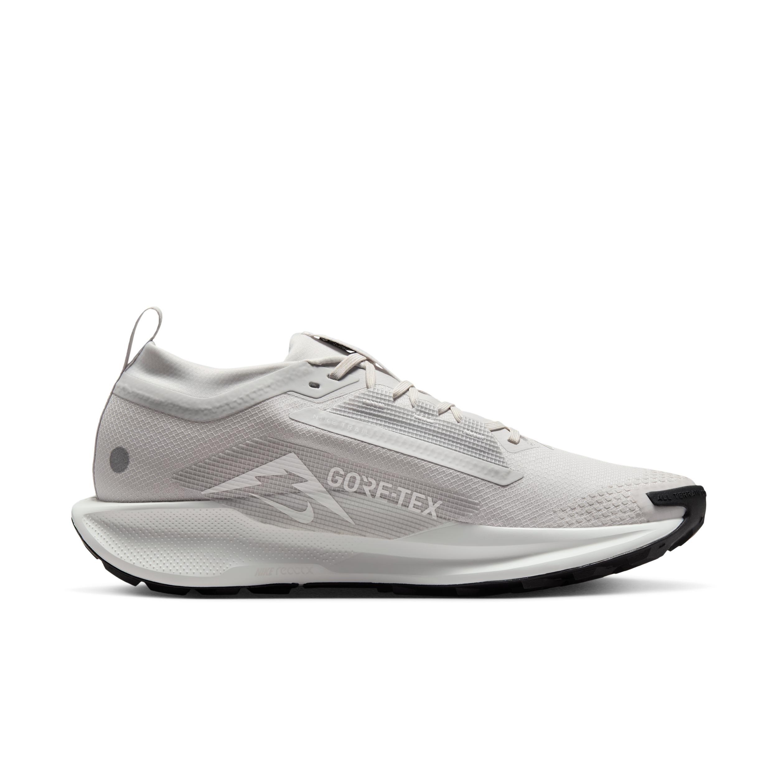 Nike Men's Pegasus Trail 5 GORE-TEX Waterproof Trail Running Shoes Product Image
