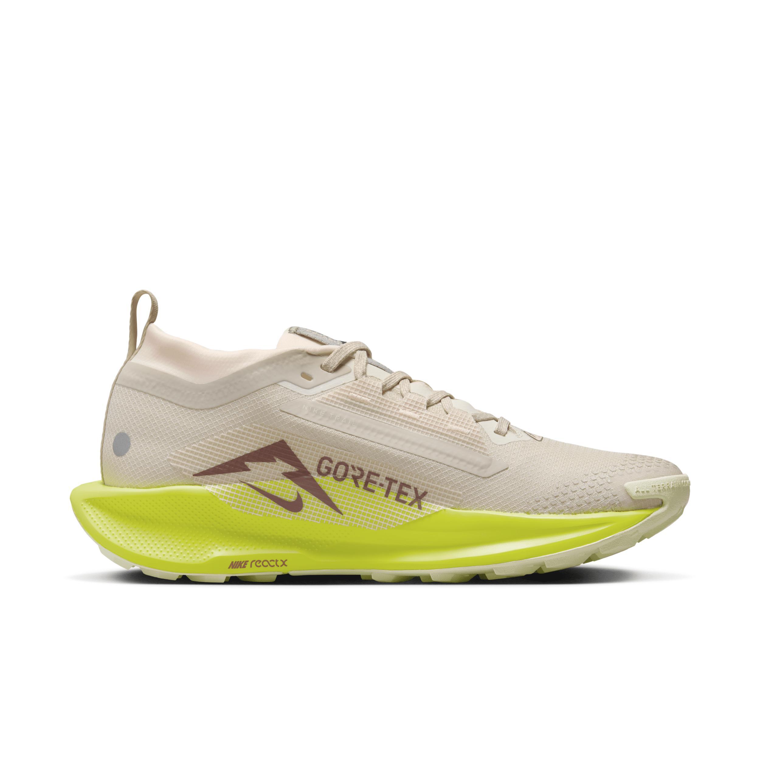 Nike Pegasus Trail 5 GORE-TEX Women's Waterproof Trail Running Shoes Product Image