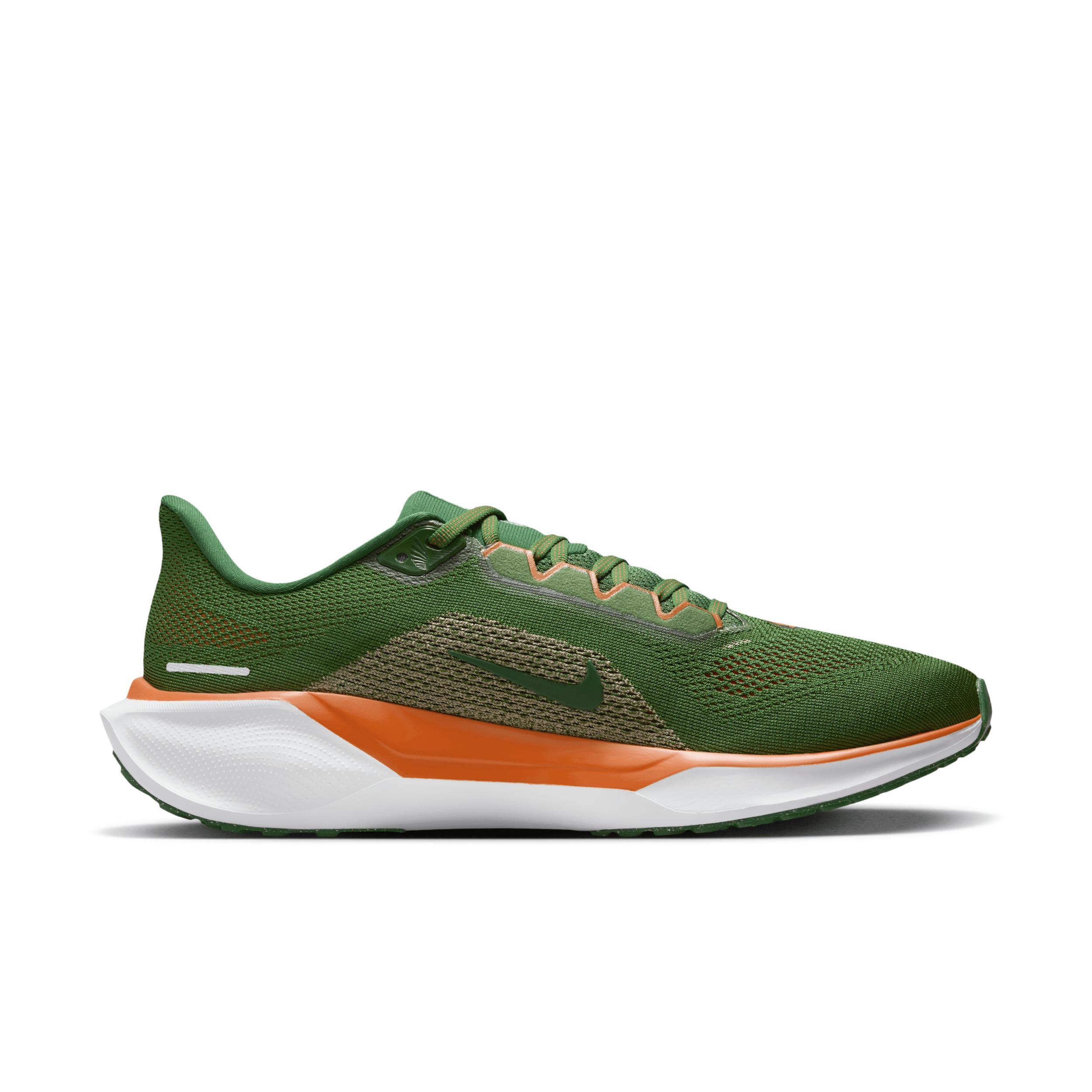 FAMU Pegasus 41 Nike Men's College Road Running Shoes Product Image