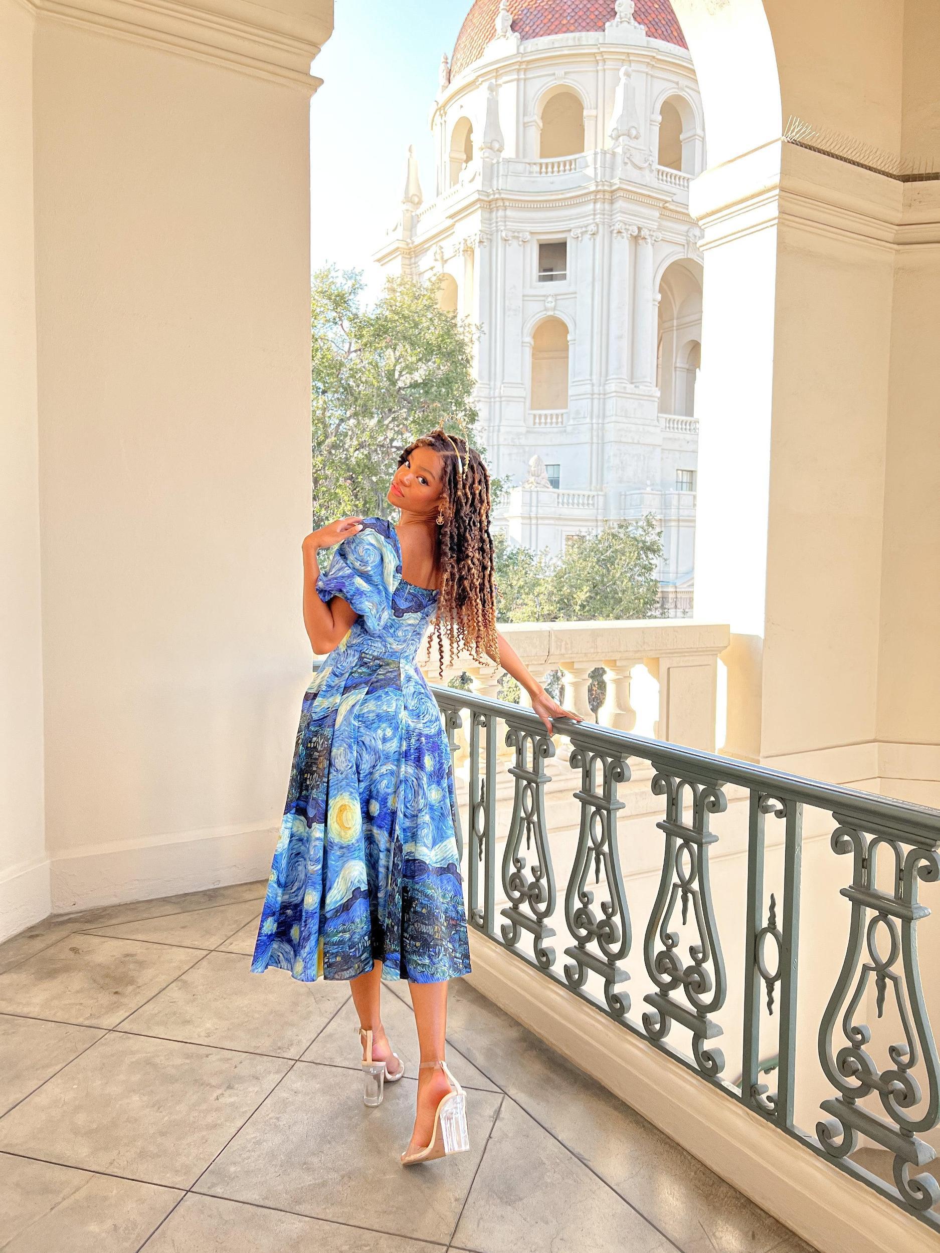 The Starry Night Day Dress Product Image