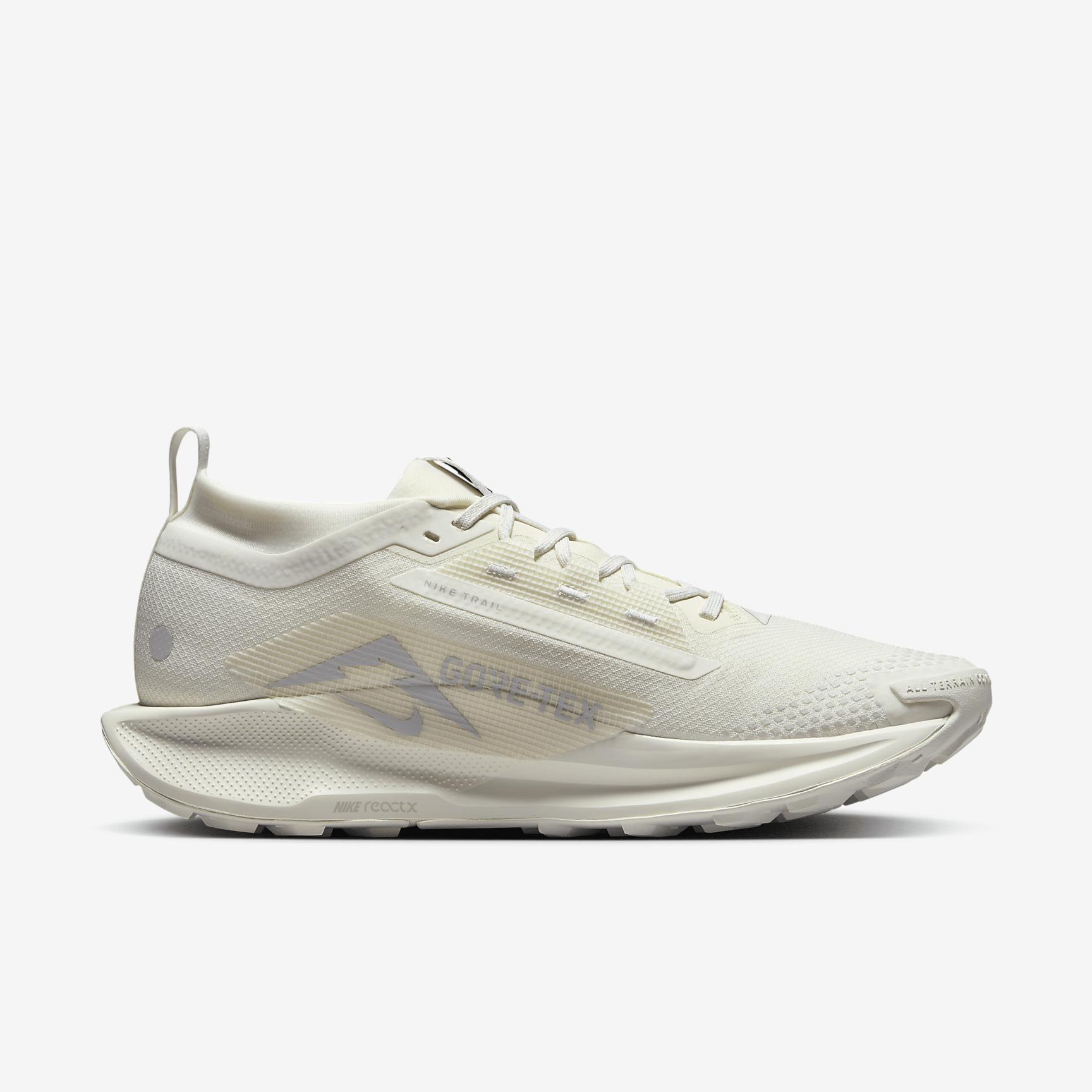 Nike Men's Pegasus Trail 5 GORE-TEX Waterproof Trail Running Shoes Product Image