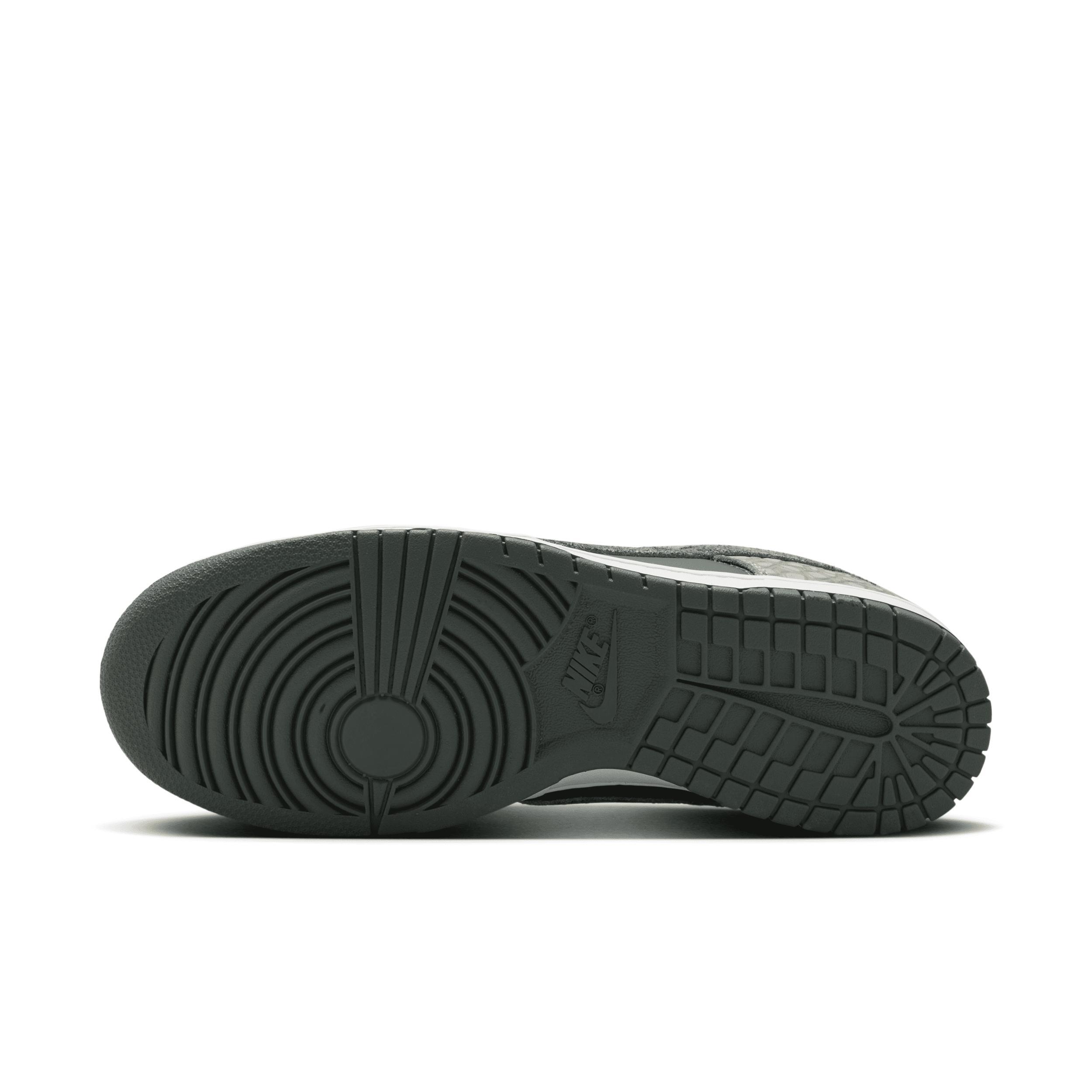 Nike Dunk Low Retro Premium Men's Shoes Product Image