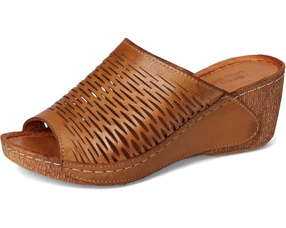 Spring Step Product Image