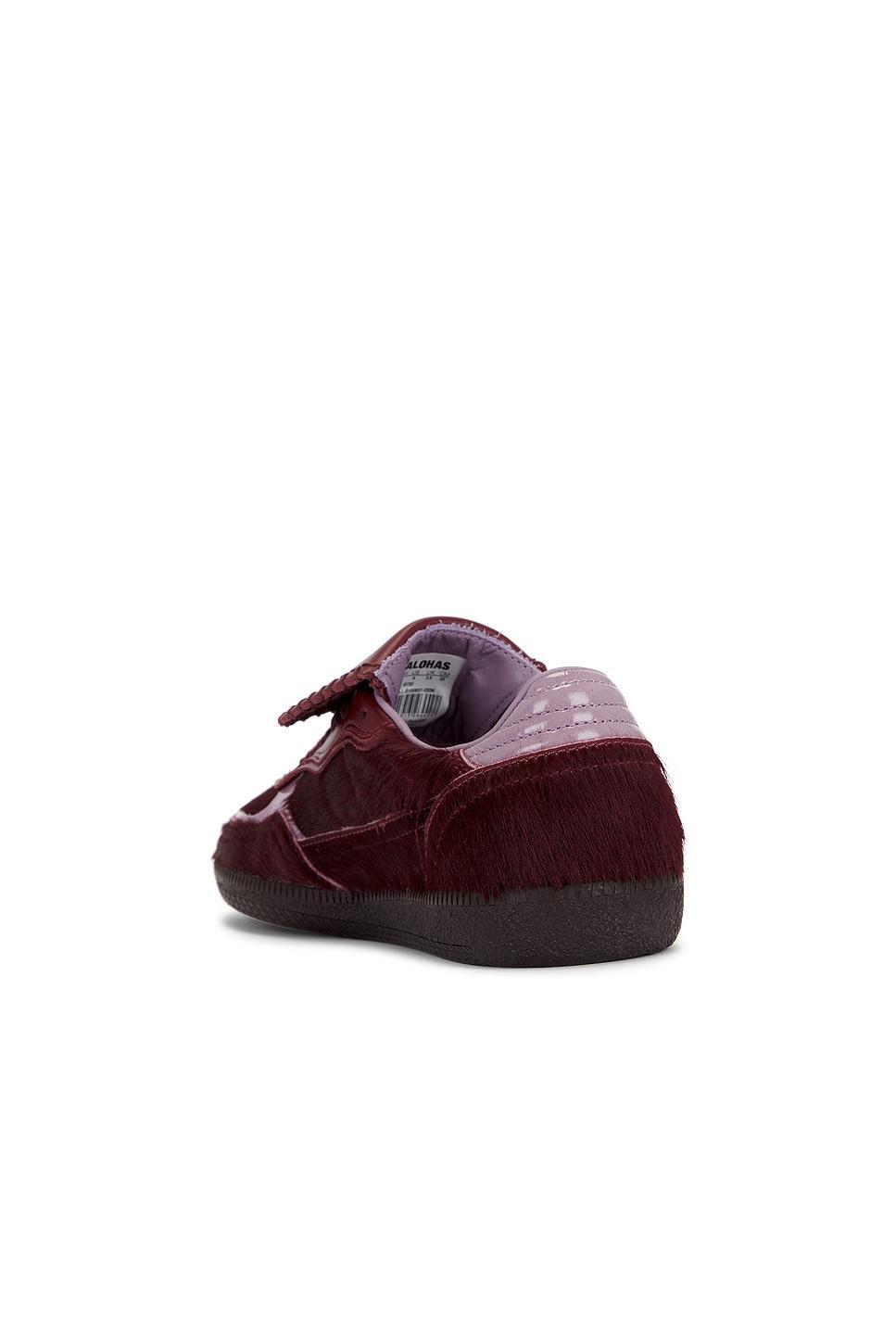 Tb.490 Club Sneaker ALOHAS Product Image