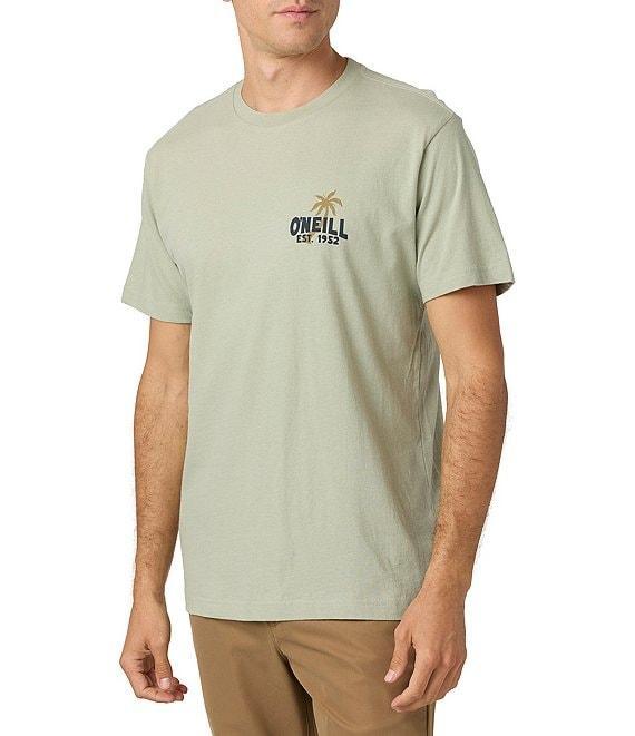 O'Neill Axelrad Short Sleeve T-Shirt Product Image