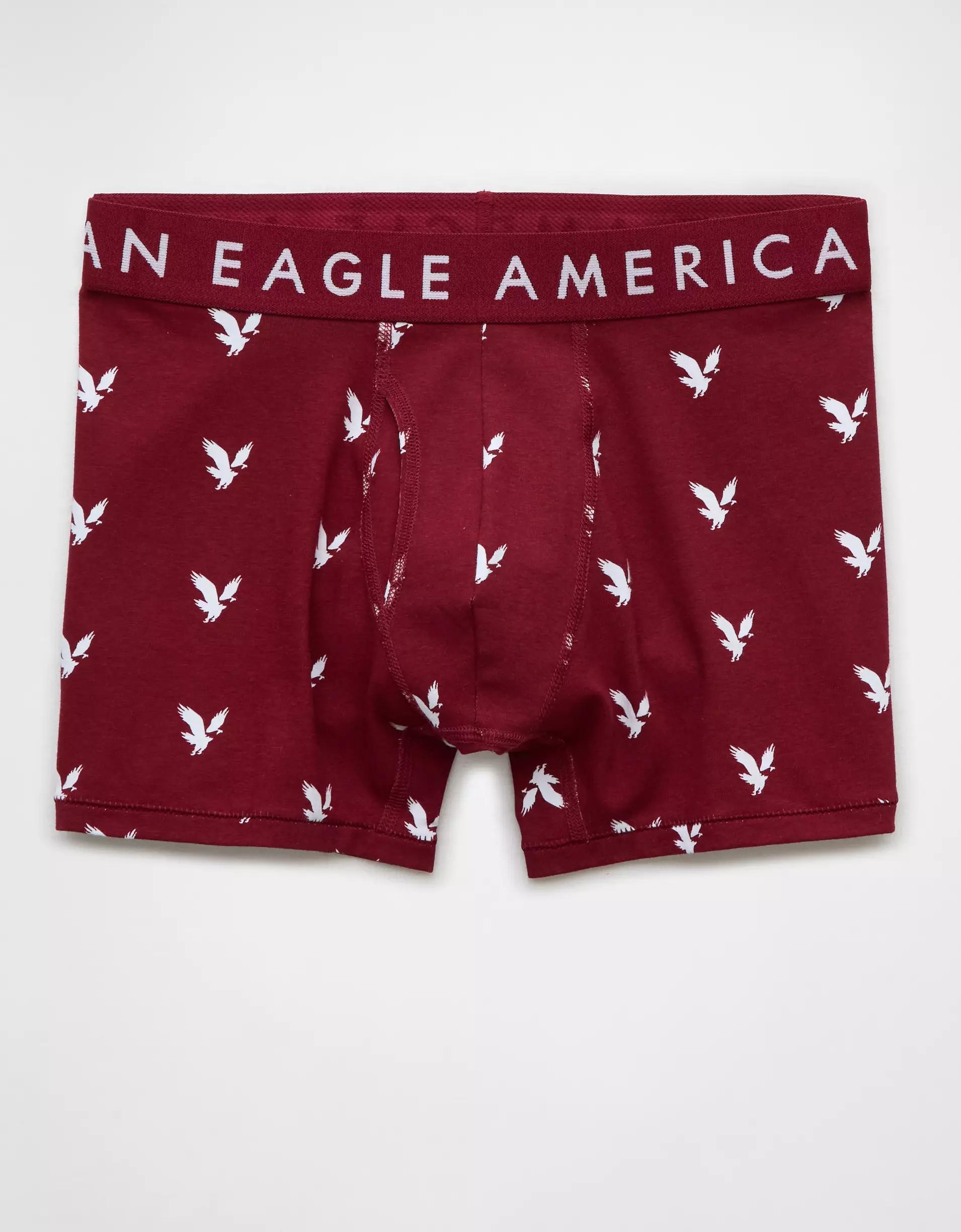 AEO Eagles 4.5" Classic Boxer Brief Product Image