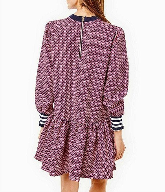 Addison Bay Vine Geometric Print Crew Neck Long Sleeve A-Line Zip Back Dress Product Image