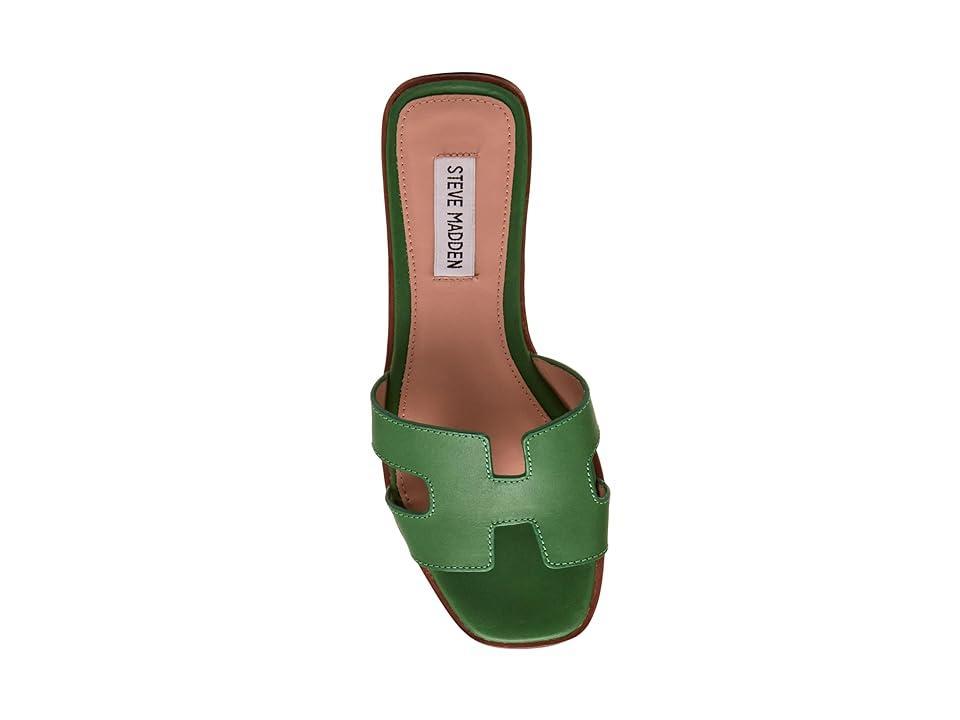 Steve Madden Hadyn Leather Flat Slide Sandals Product Image