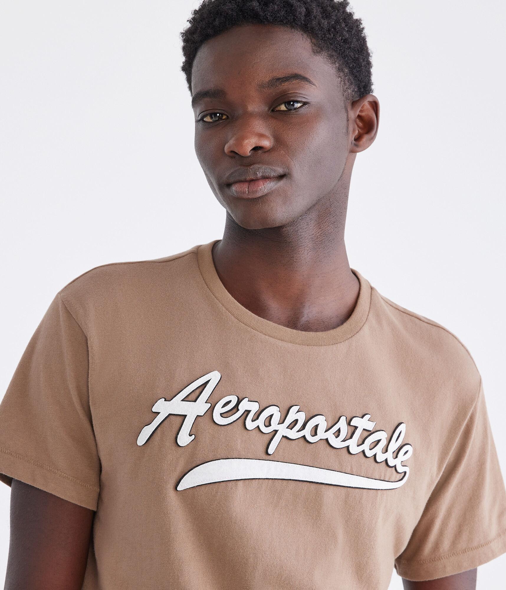 Aeropostale Script Logo Appliqué Graphic Tee Product Image