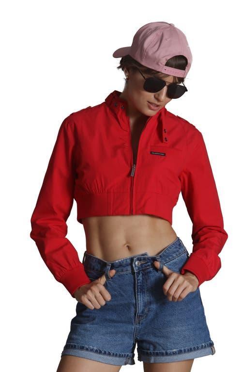 Members Only Women's Mini Cropped Racer Jacket in Black at Nordstrom, Size X-Large Product Image