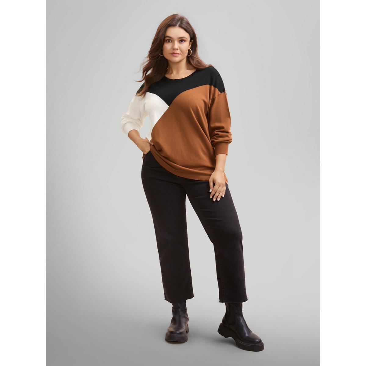 Plus Size Supersoft Essentials Colorblock Contrast Pullover Browncoffeecolor Women Casual Long Sleeve Round Neck Everyday Pullovers BloomChic 22-24/3X Product Image