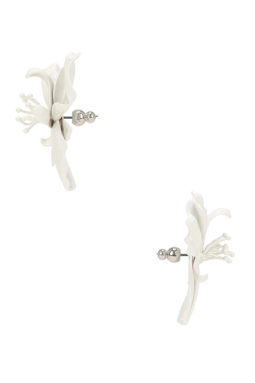 Mila Earrings Product Image