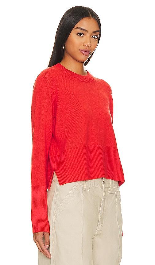 Boxy Crew Neck Autumn Cashmere Product Image