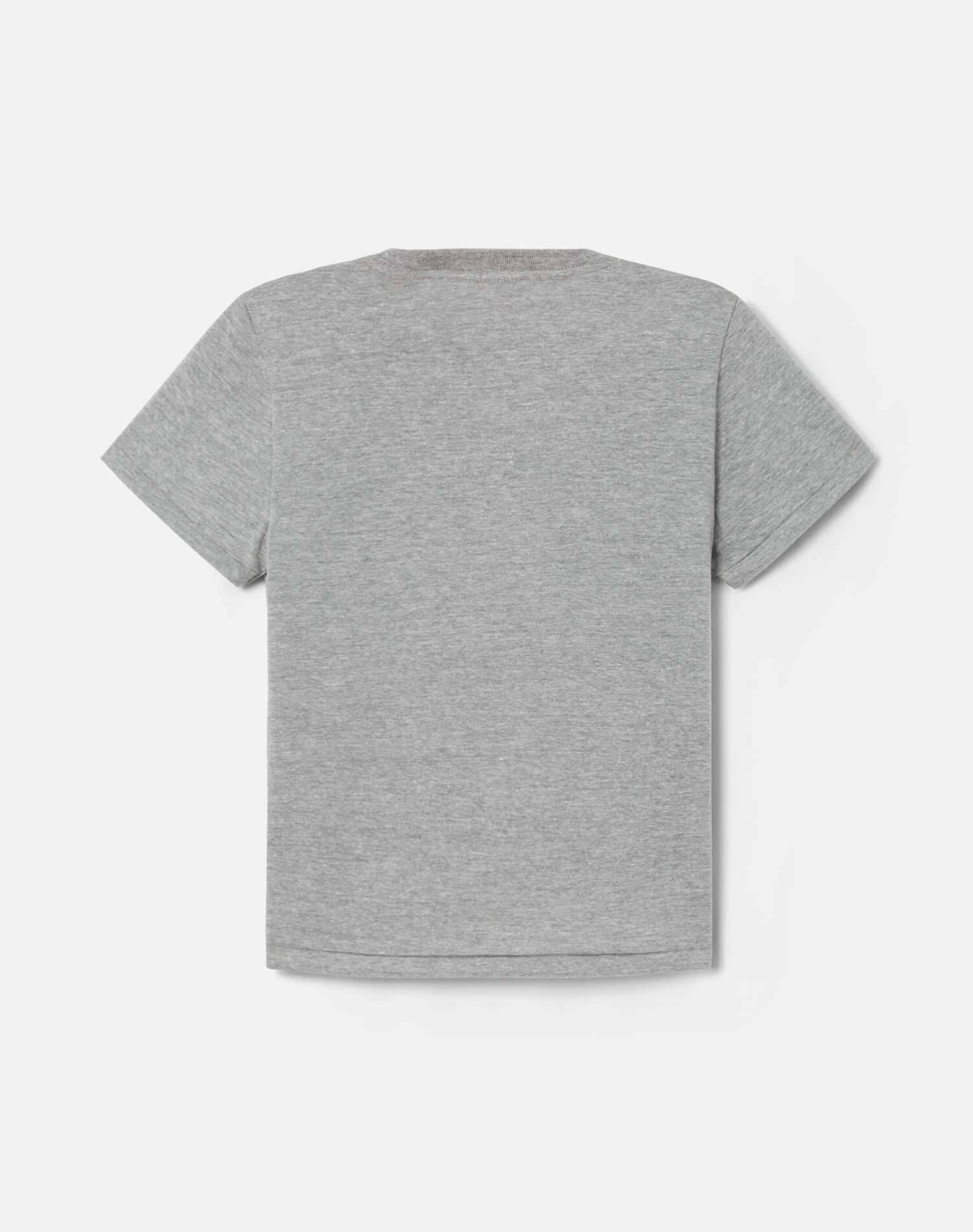 Hanes Classic Tee - Heather Grey Product Image