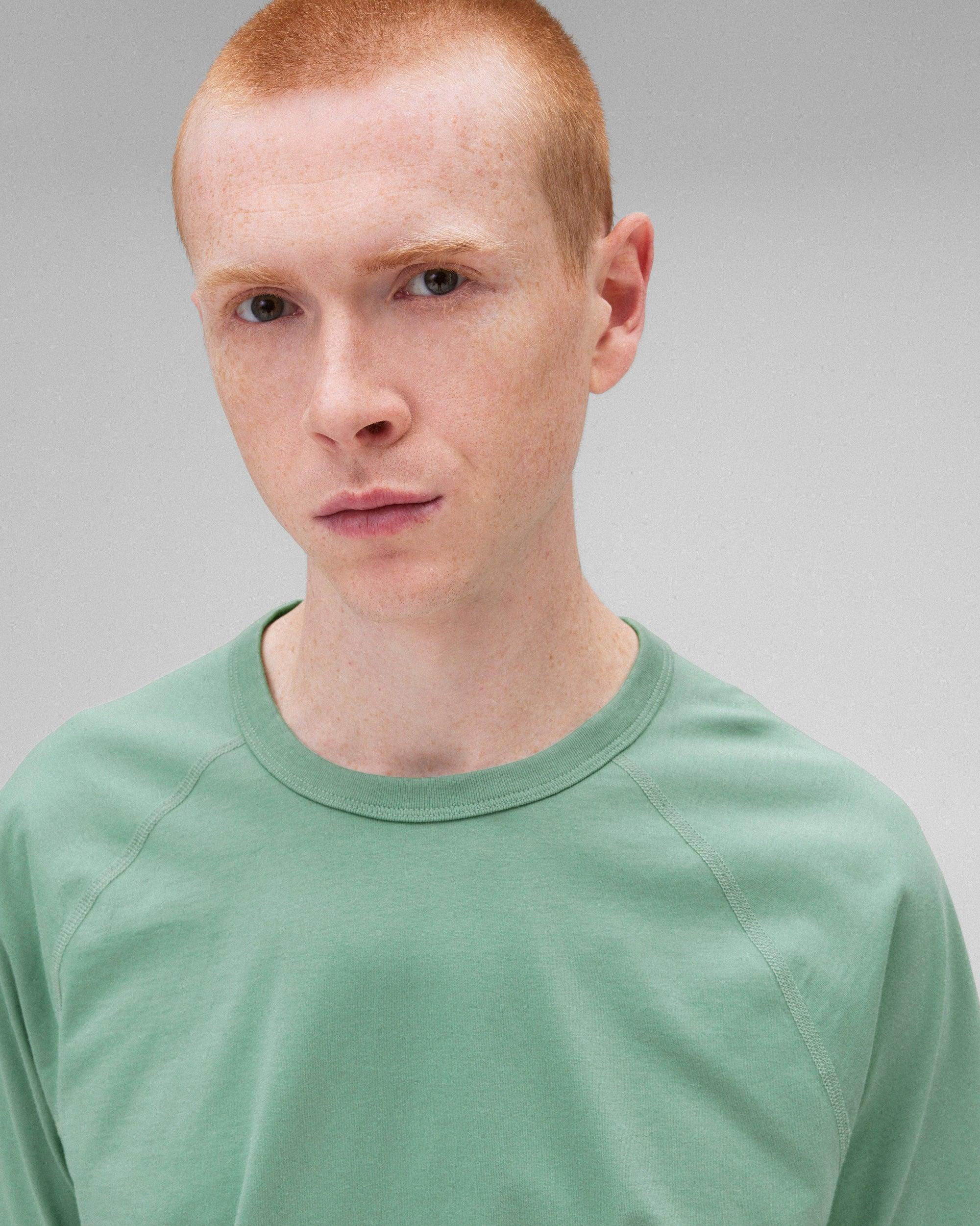 Lightweight Jersey Standard Raglan T-Shirt Male Product Image