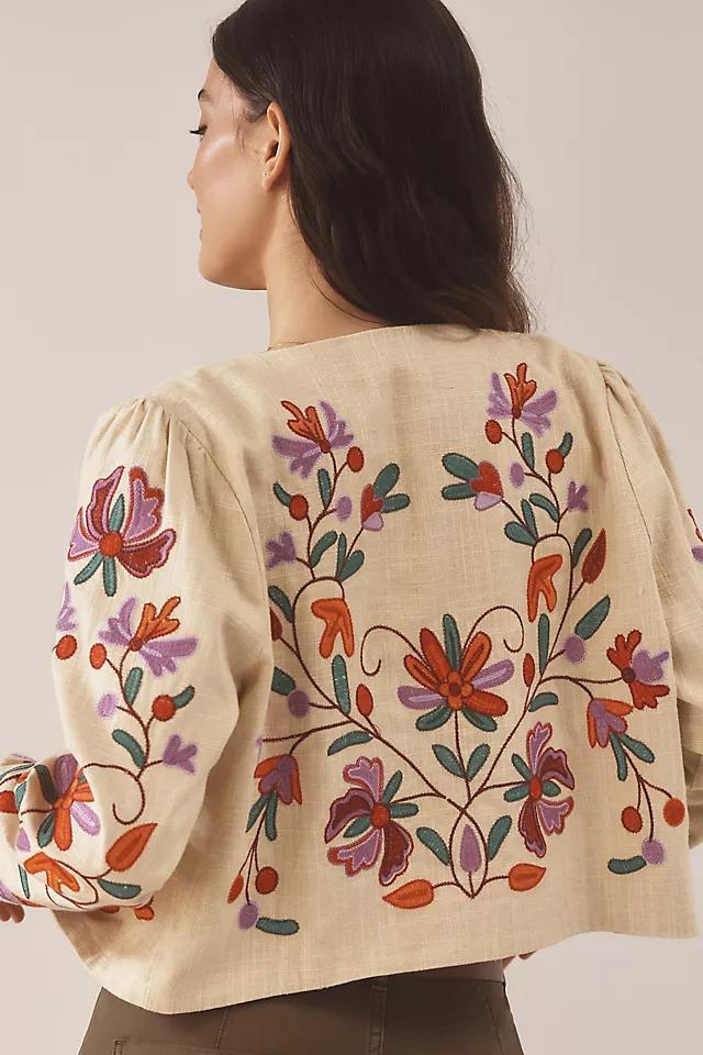 DOLAN Embroidered Linen Jacket Product Image