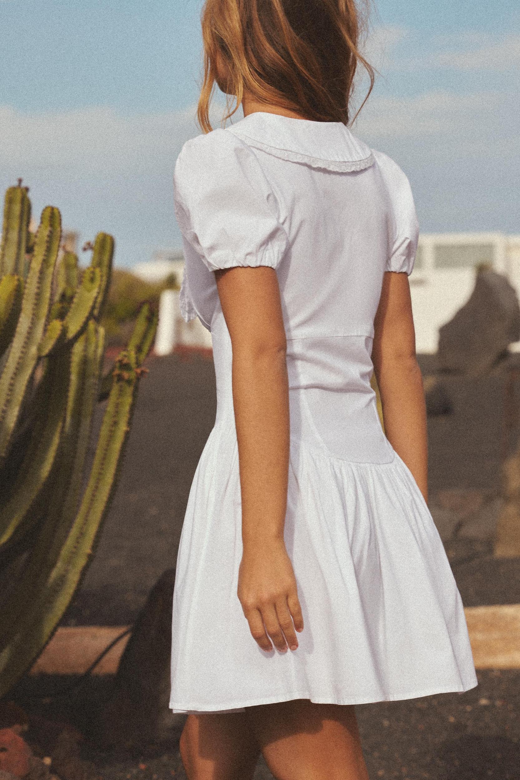 PETER PAN COLLAR POPLIN DRESS Product Image