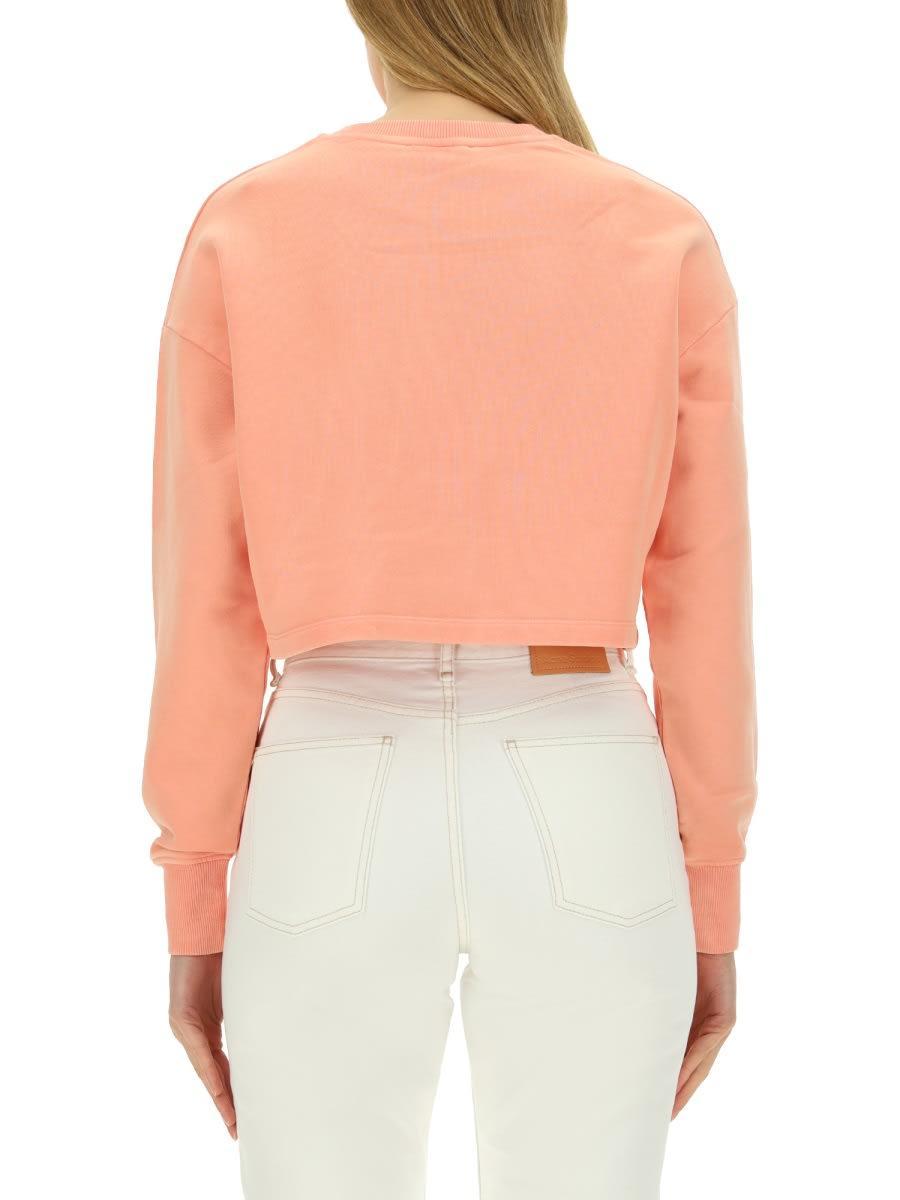 BALMAIN Sweatshirt With Logo In Pink Product Image