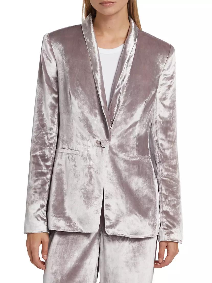 Kriselle Velvet Blazer Product Image