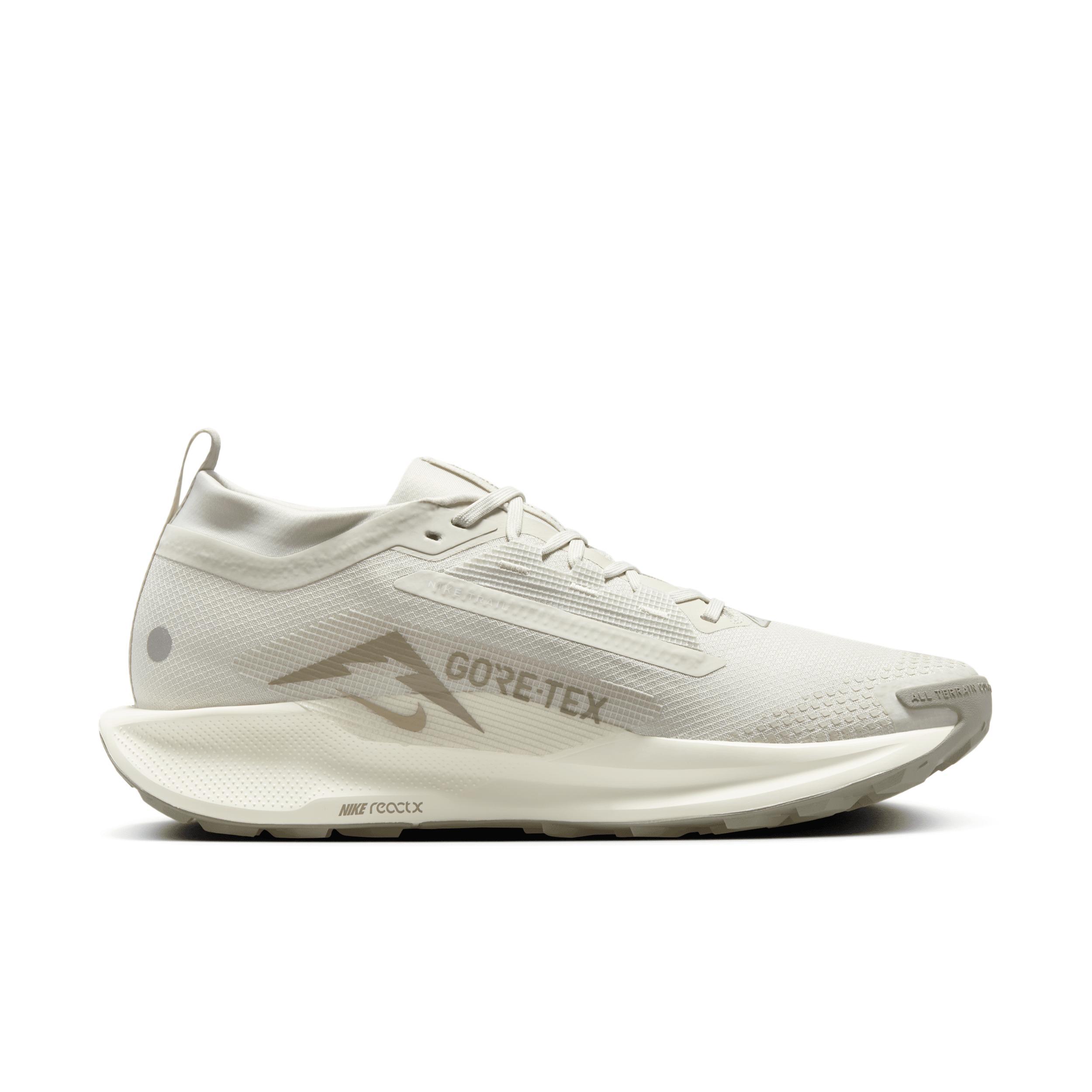 Nike Men's Pegasus Trail 5 GORE-TEX Waterproof Trail Running Shoes Product Image