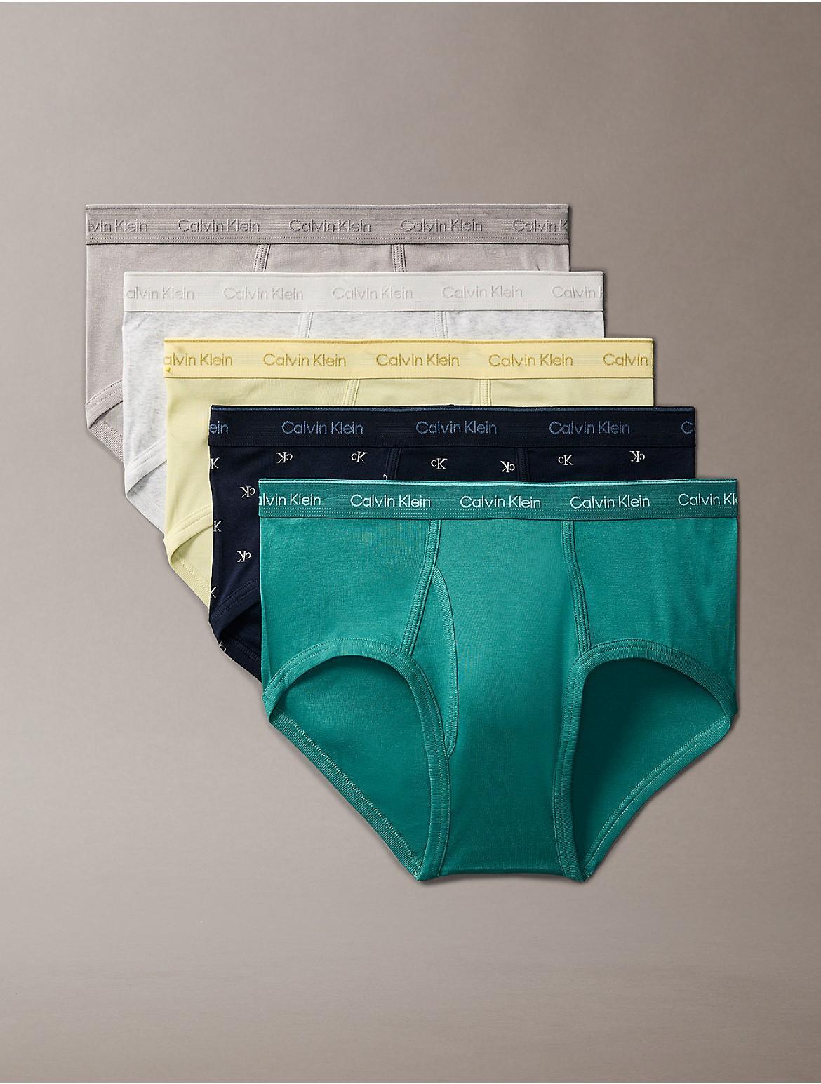 Calvin Klein Mens Cotton Classics 5-Pack Brief - Black Product Image