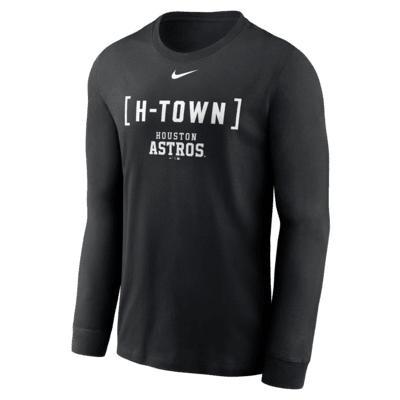Iowa Sideline Men's Nike Dri-FIT College Long-Sleeve T-Shirt Product Image