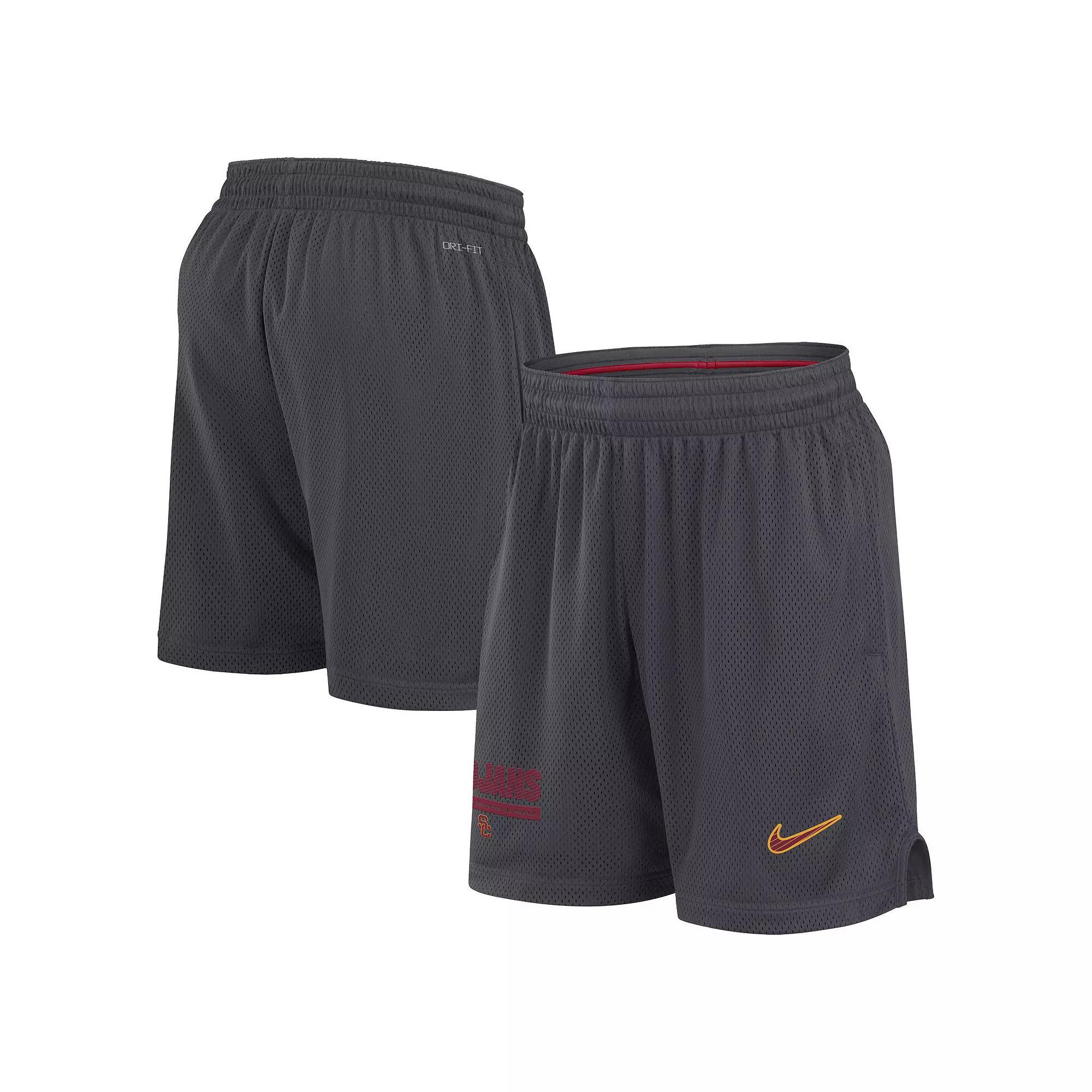 Men's Nike Anthracite Florida State Seminoles 2024 Sideline Mesh Shorts, Size: Medium, Grey Product Image