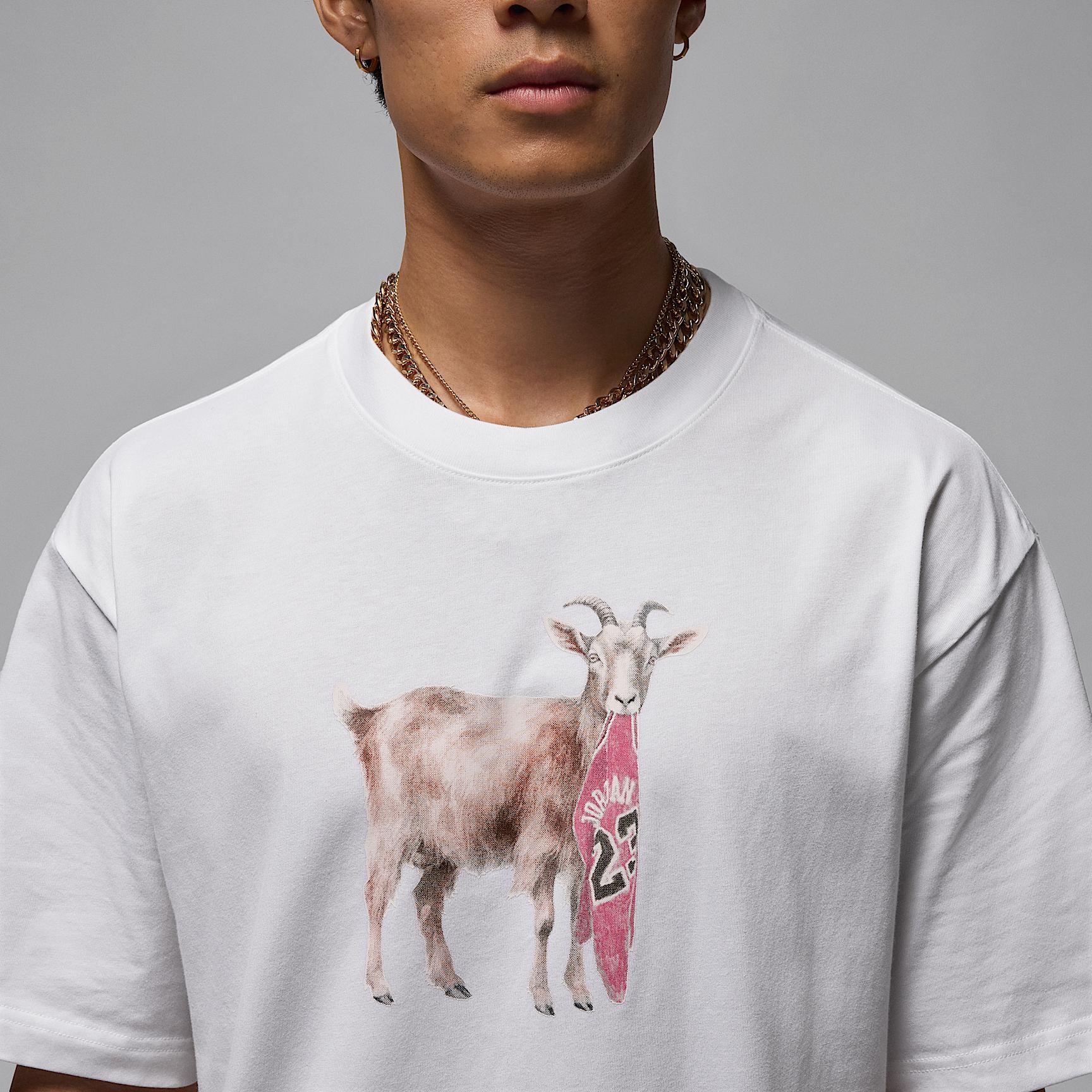 Men's Jordan T-Shirt Product Image