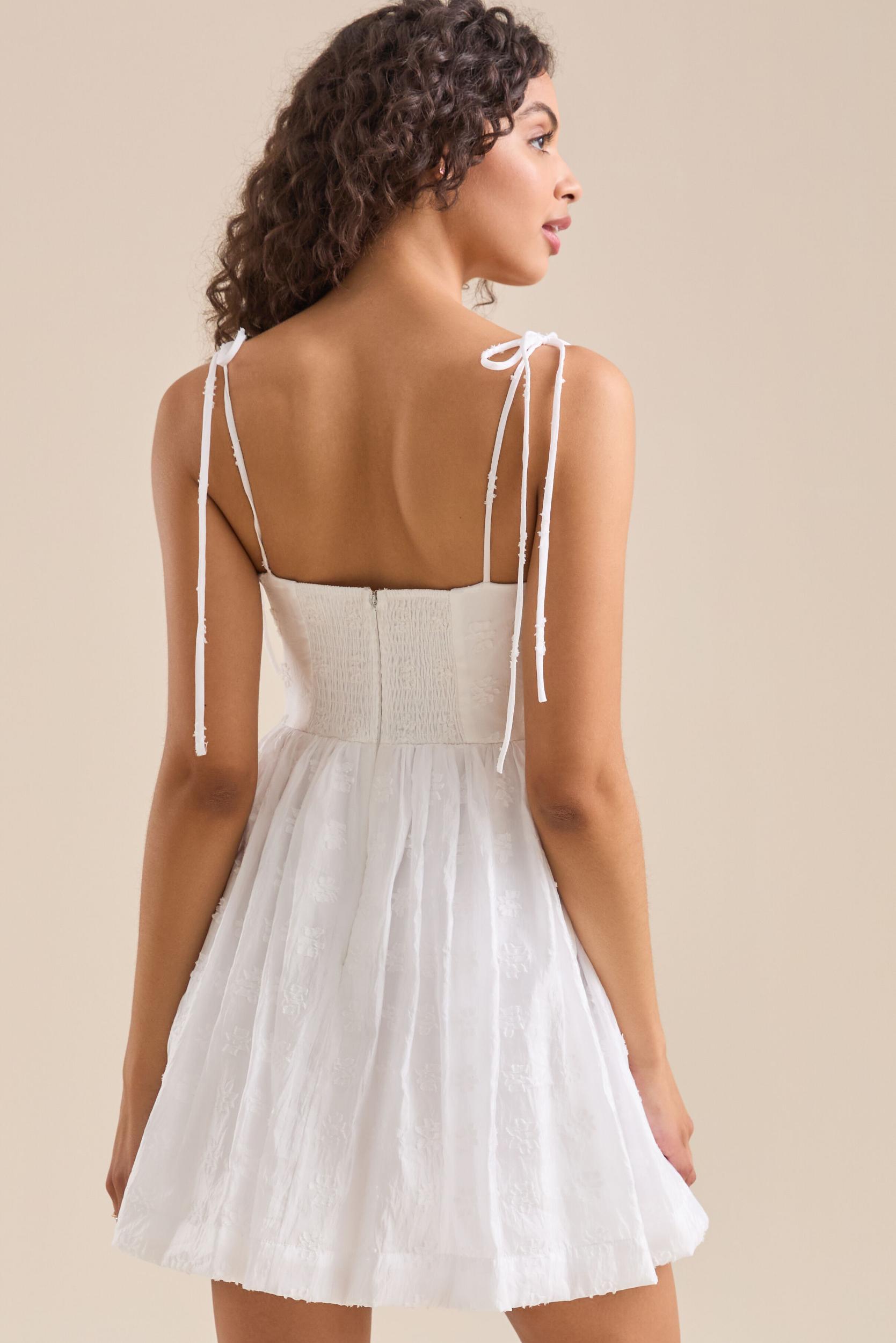 Halen Embroidered Mini Dress Product Image