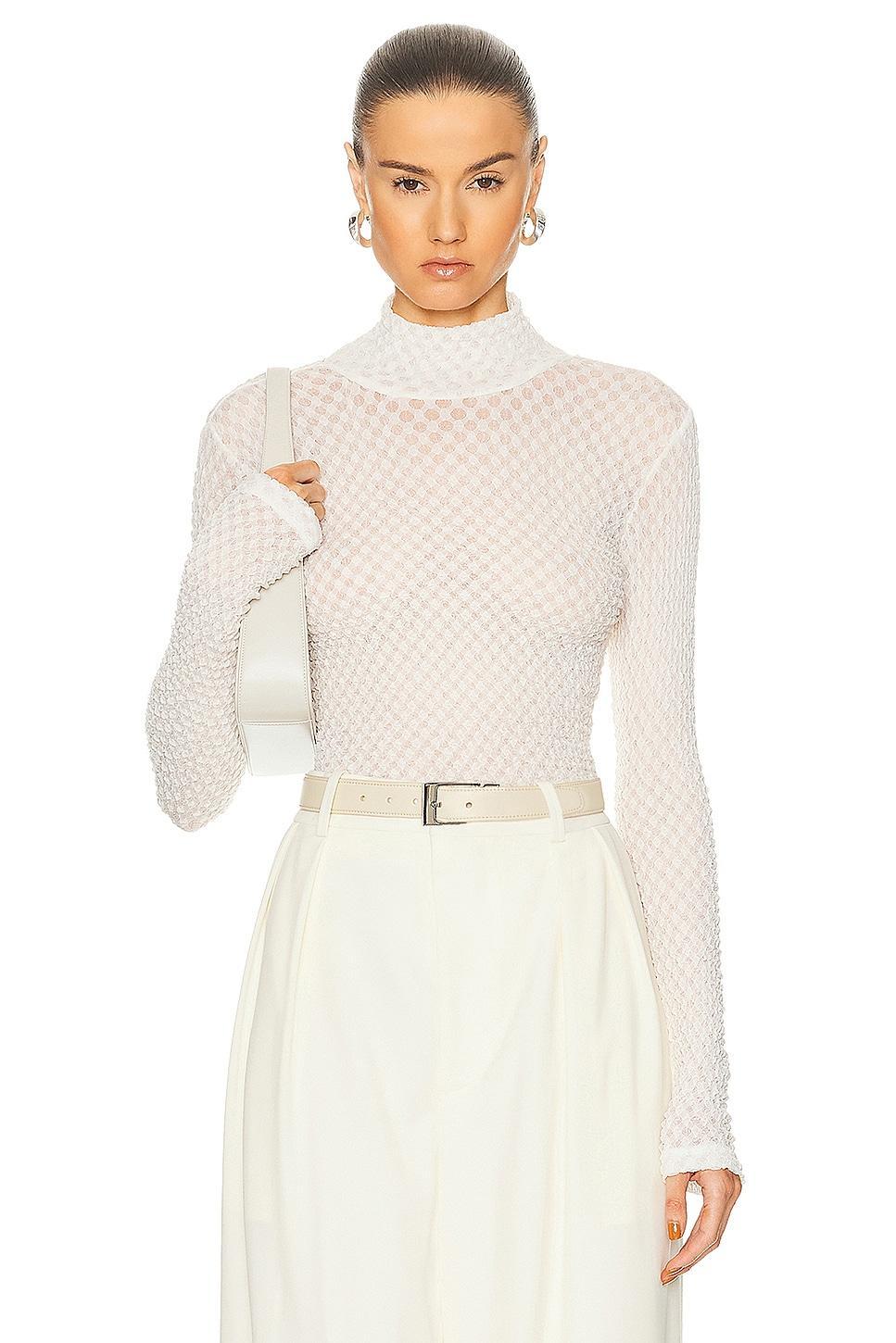 Frame Mesh Lace Turtleneck Top Product Image