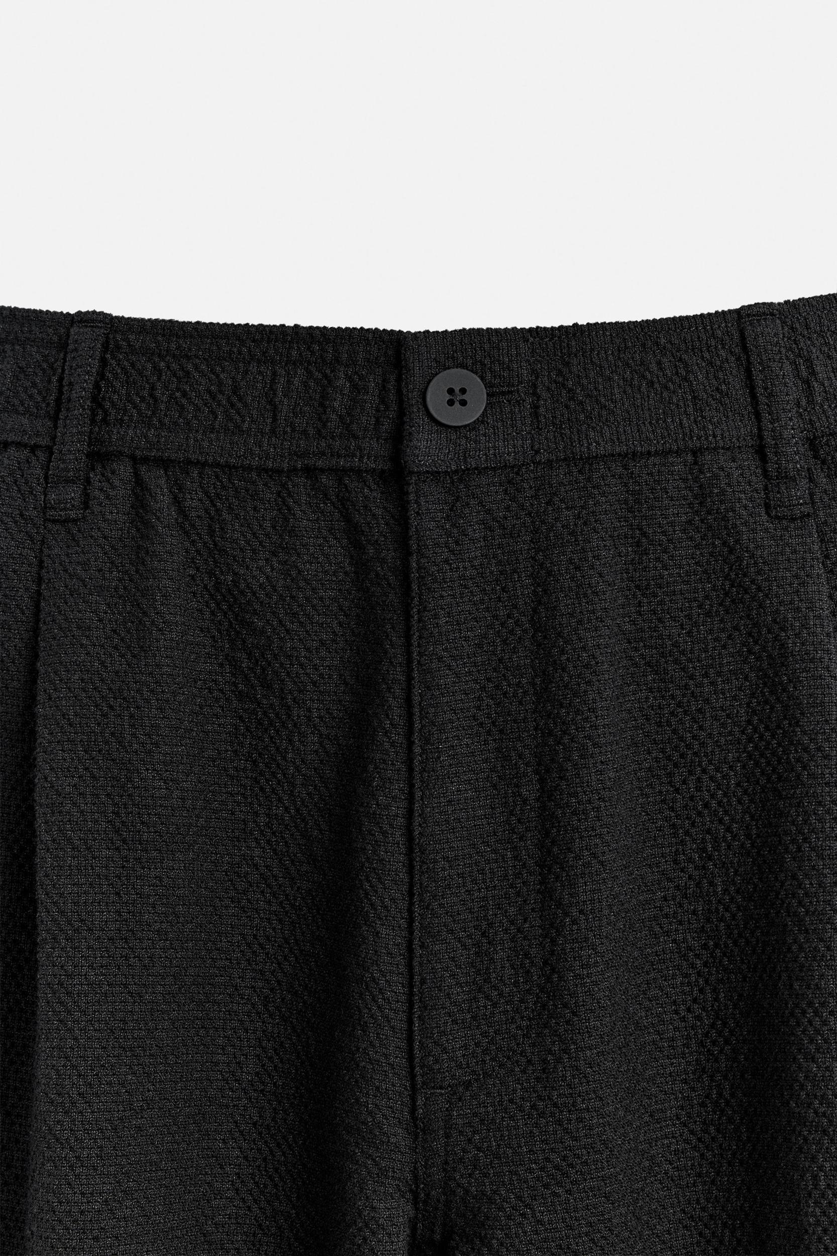 TEXTURED PLEATED PANTS Product Image