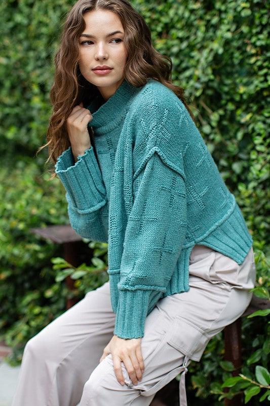Turtle Neck Knit Top Product Image