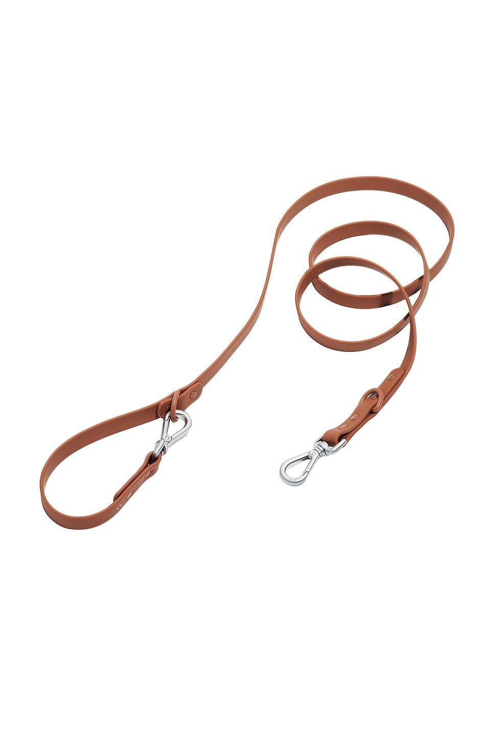 Leash Wild One Product Image