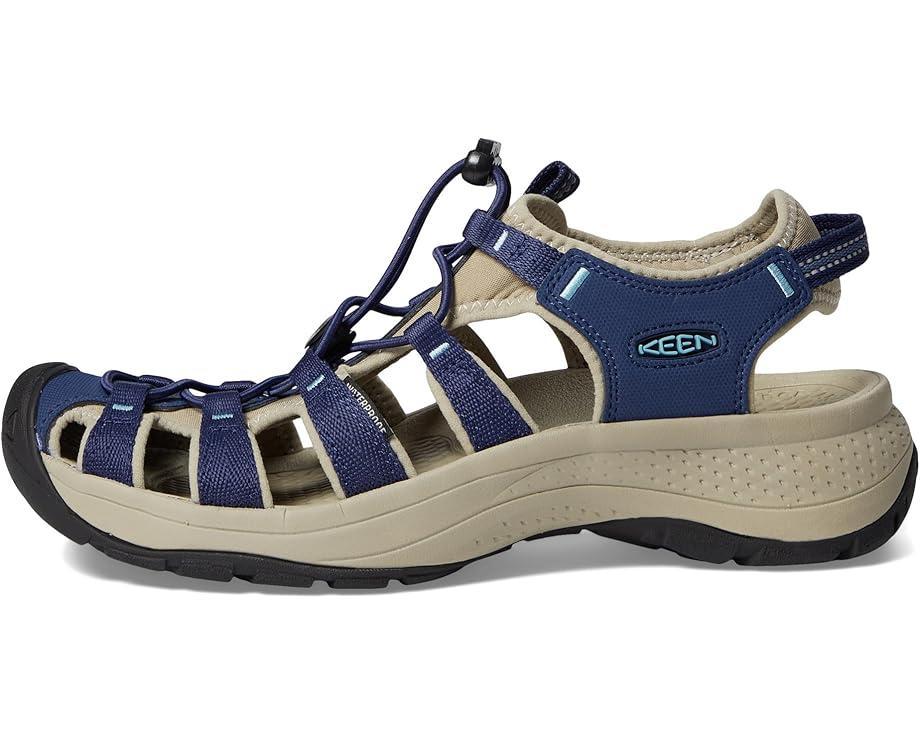 Newport H2 Product Image