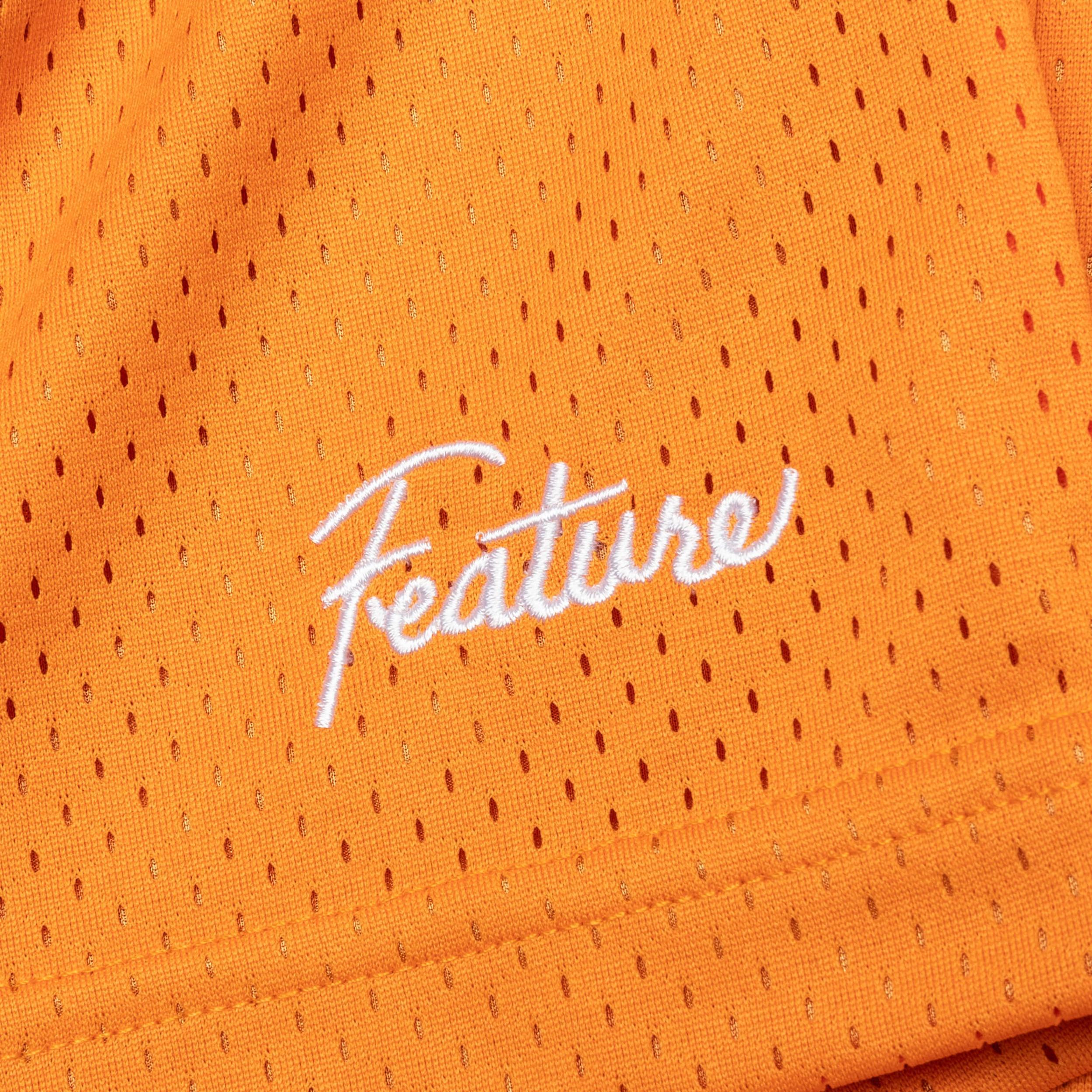 West Mesh Shorts - Orange Male Product Image