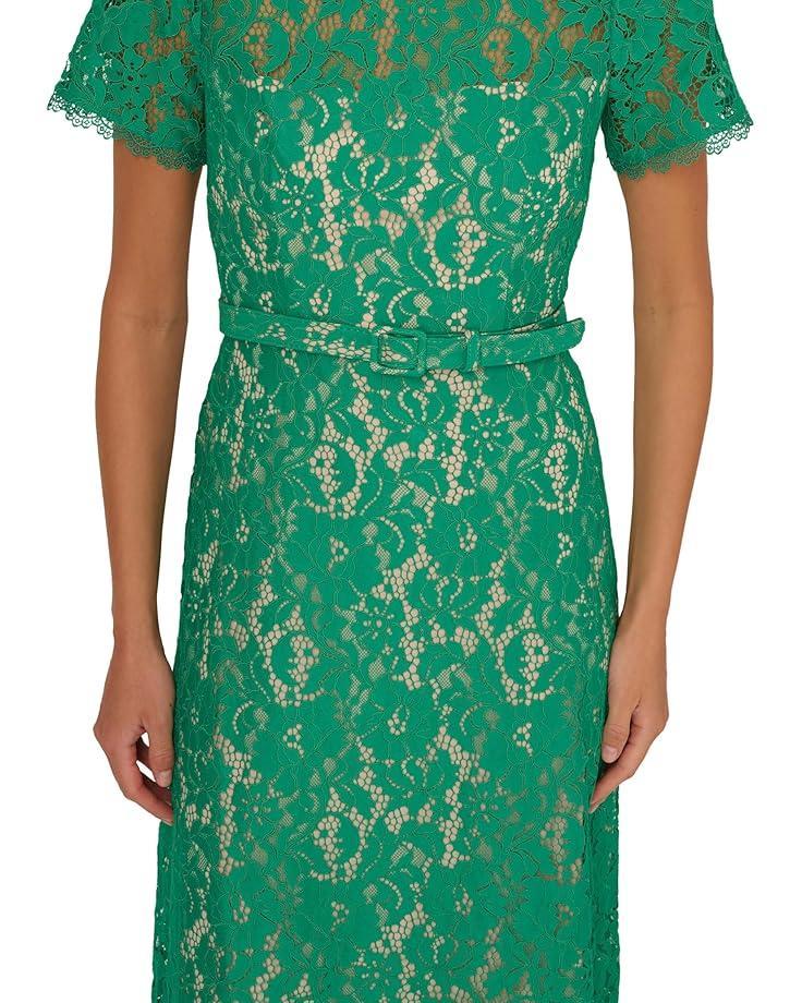 Women's Adrianna Papell Lace Soft Skirt Midi Dress Product Image